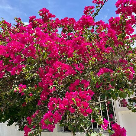 Les Villas Du Bambou - Villa Paprika Jusqu'A 6 Pers لو جوسيير المظهر الخارجي الصورة