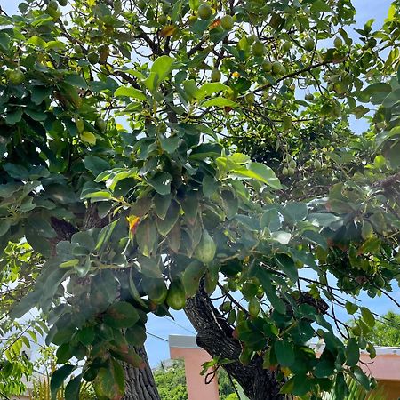 Les Villas Du Bambou - Villa Paprika Jusqu'A 6 Pers لو جوسيير المظهر الخارجي الصورة